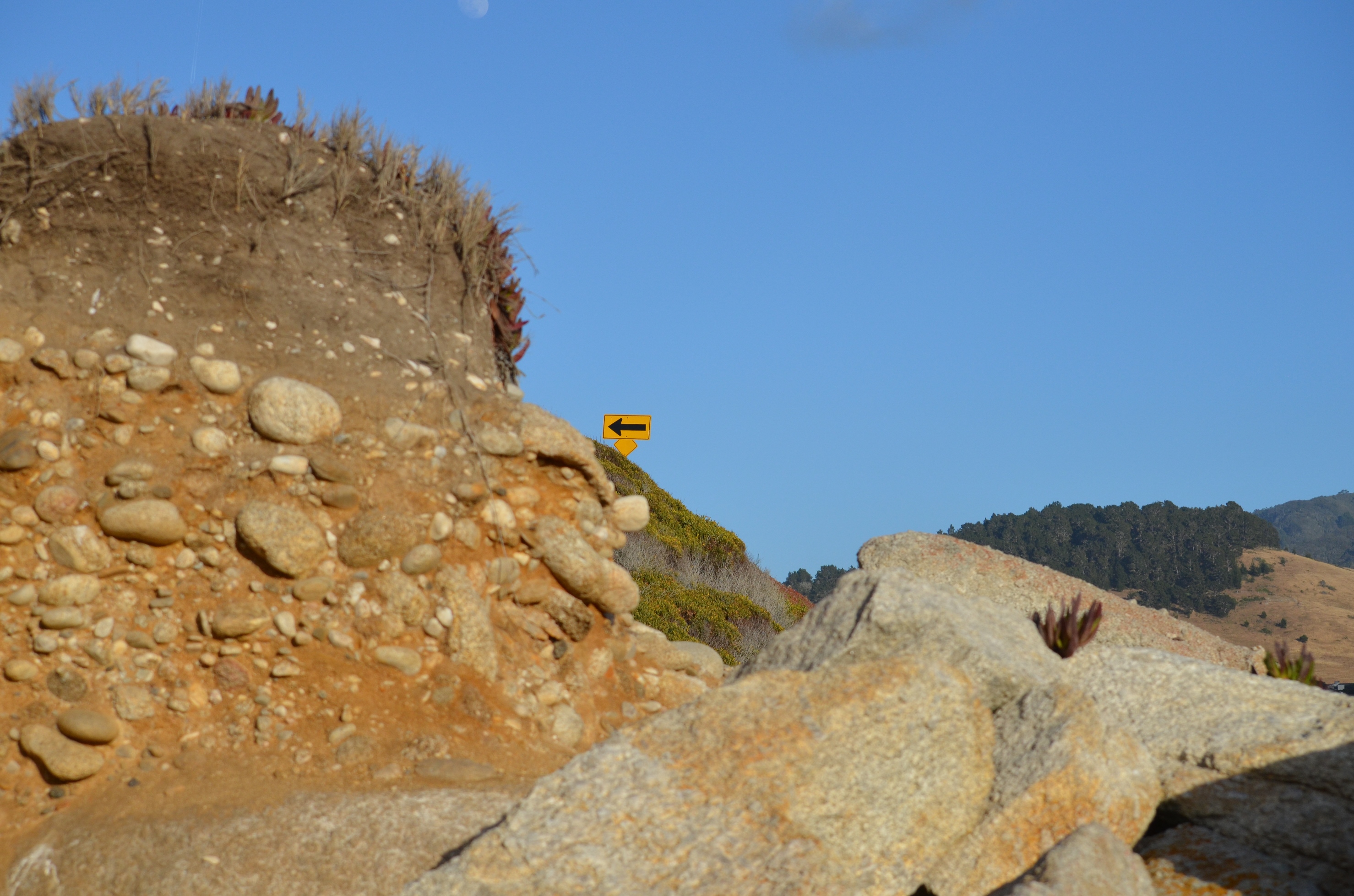 Follow the Arrow or Die!