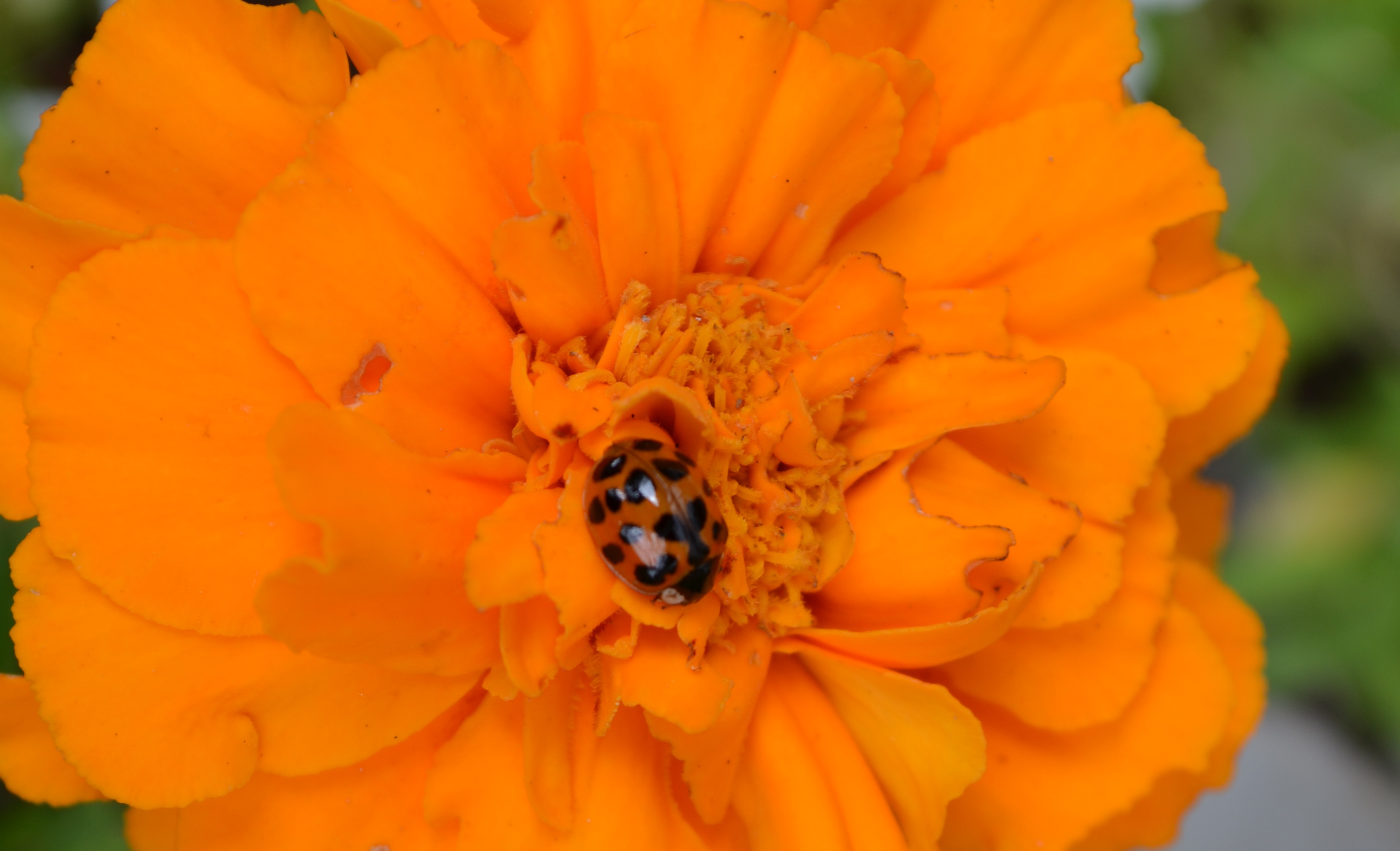 A Few Things I Didn't Know...