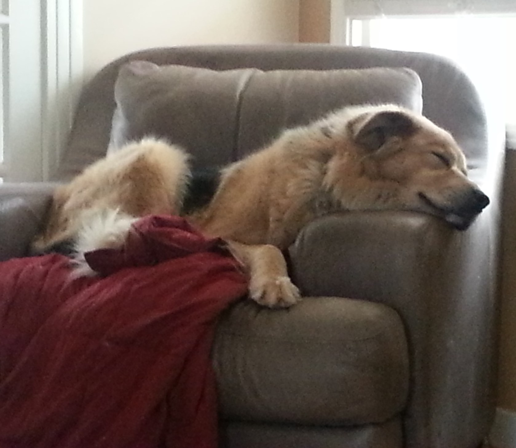 What is Sammy Thinking?