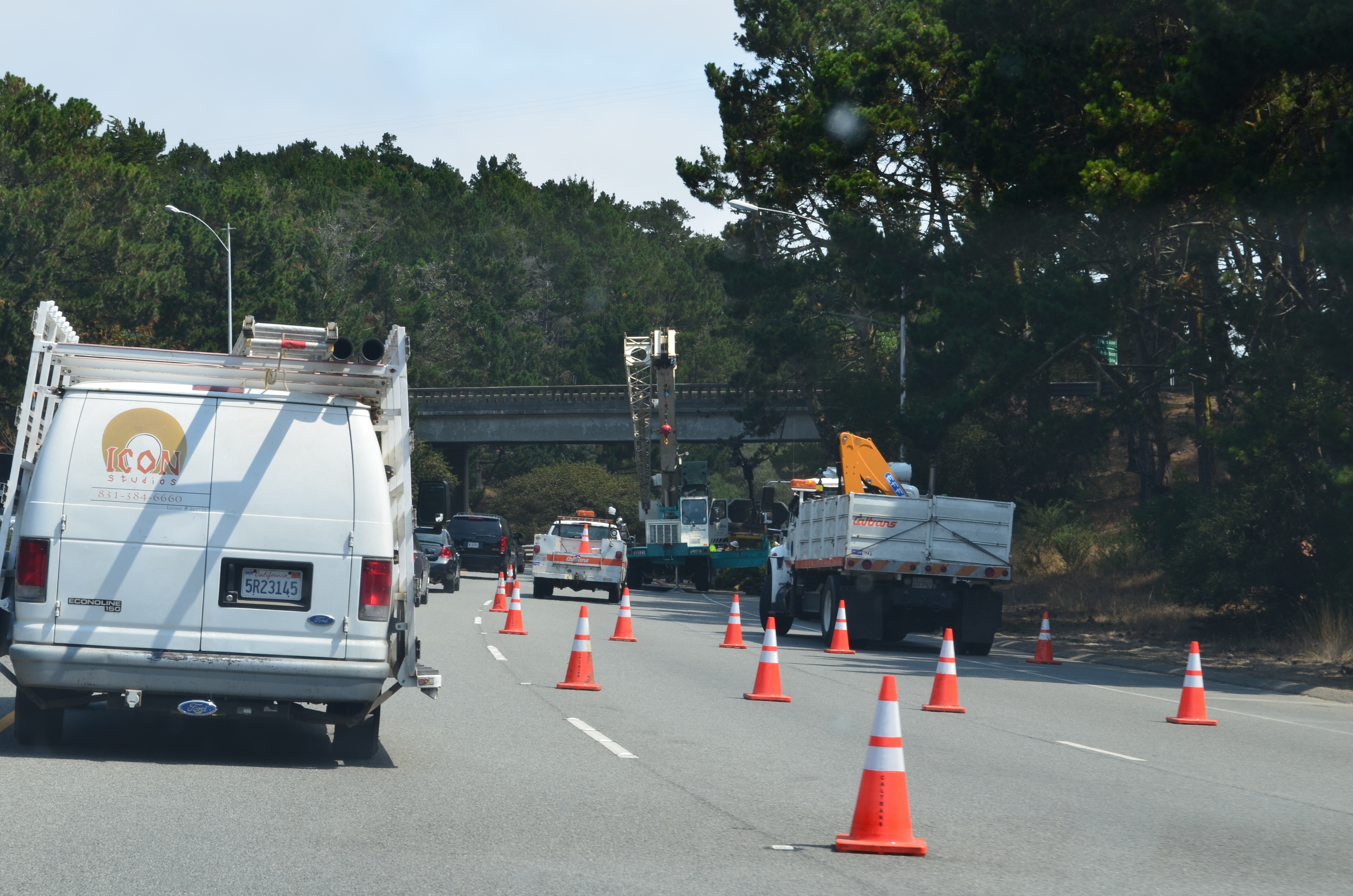 Fallen Tree, Late for Work...