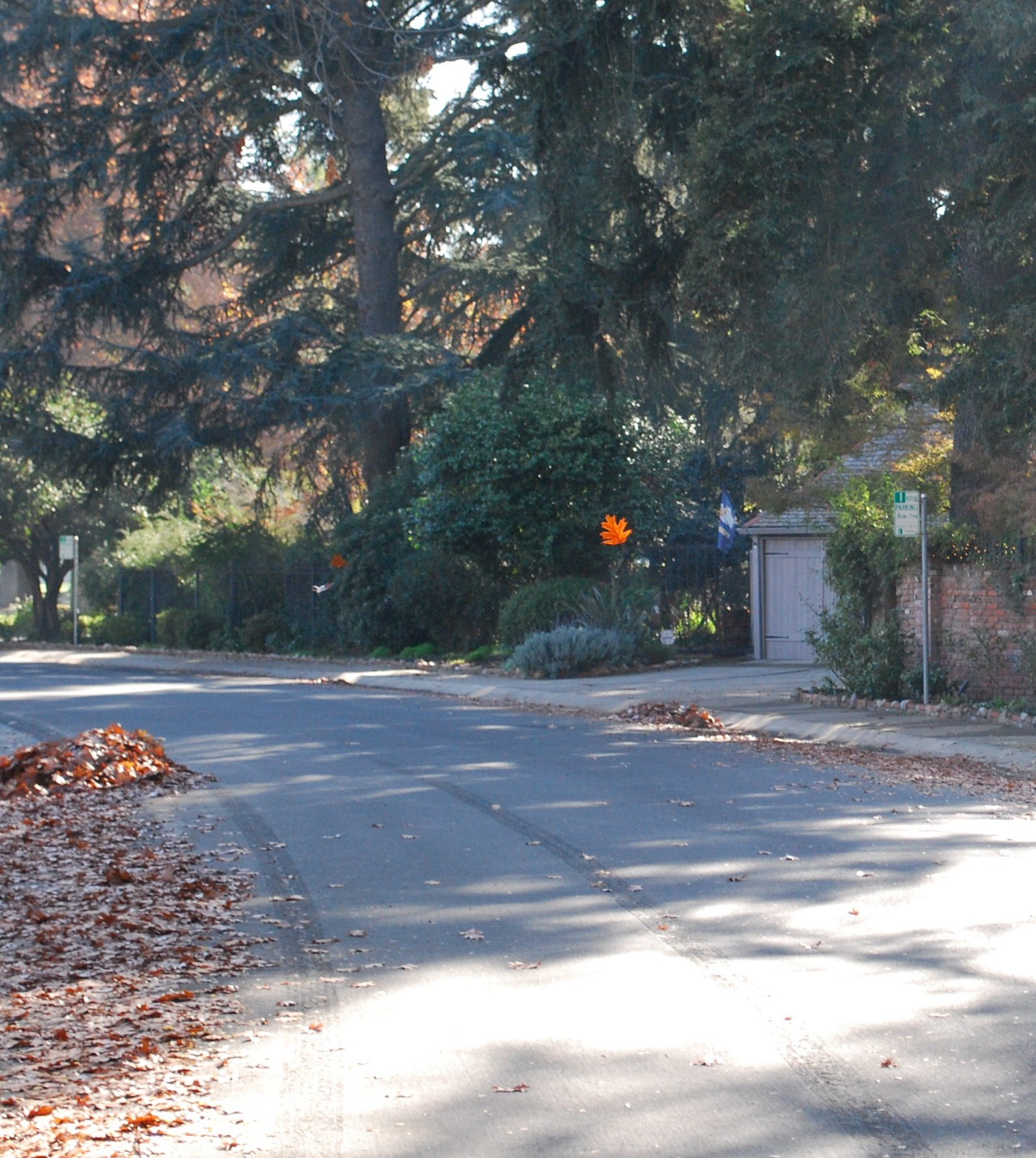 Photography Without Rules