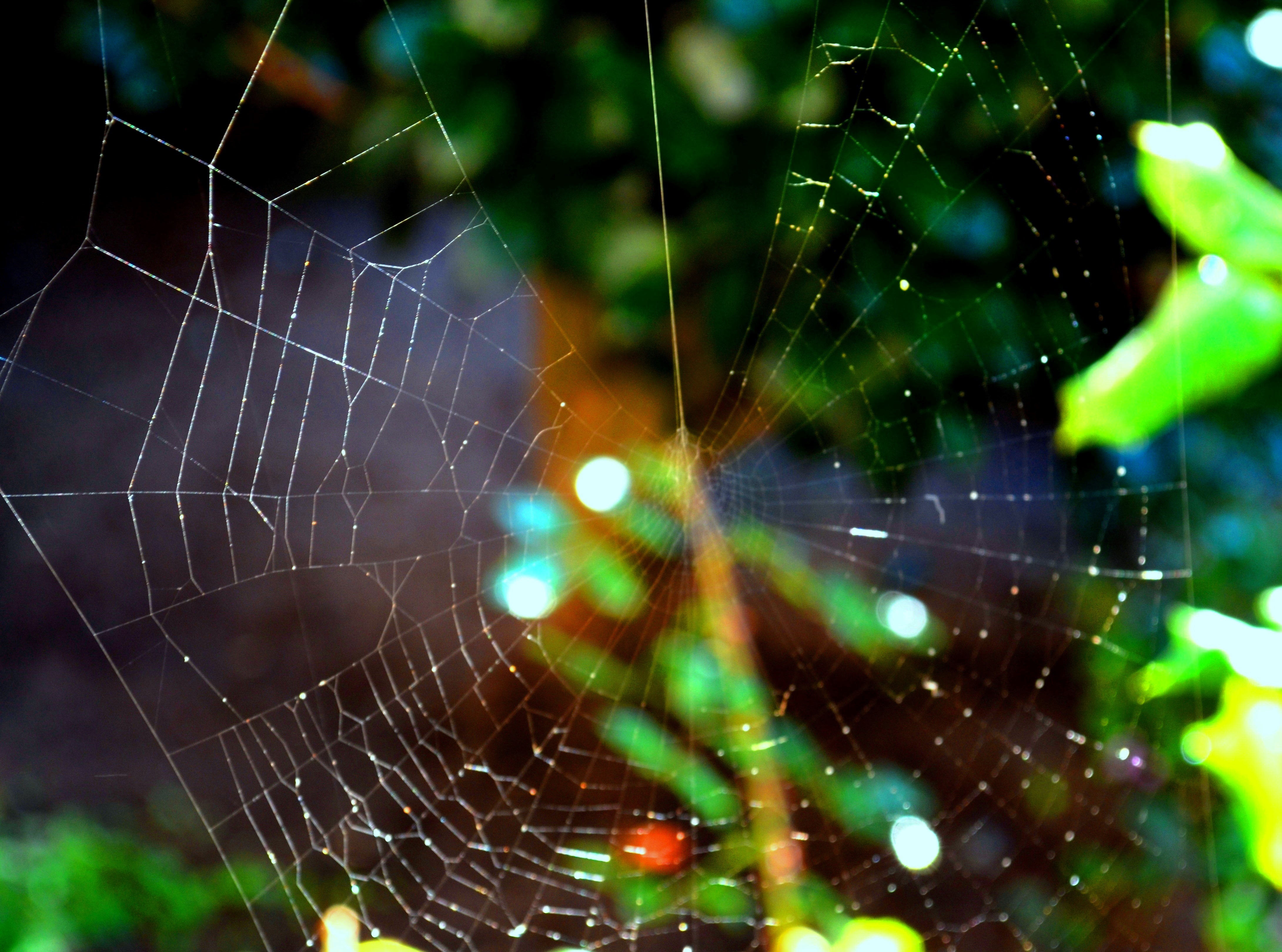 Abadoned Web!