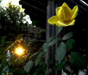 DSC_0200 - Copy - Copy