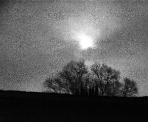 DSC_0257 - Copy - Copy