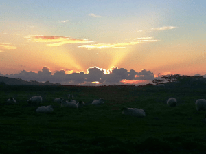 inbox_459_draft_1355360079828 - Copy