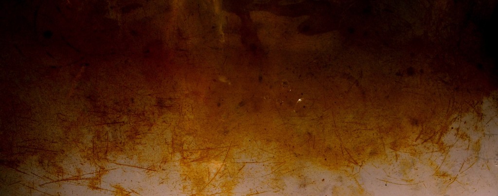 DSC_0231 - Copy - Copy