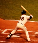 DSC_0292 - Copy - Copy