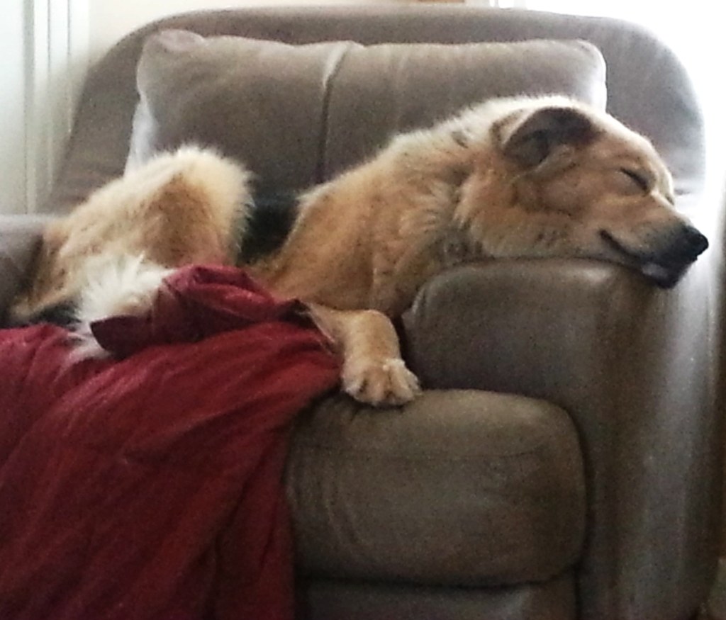 20121201_114621 (2) - Copy