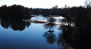 DSCN0695 - Copy - Copy