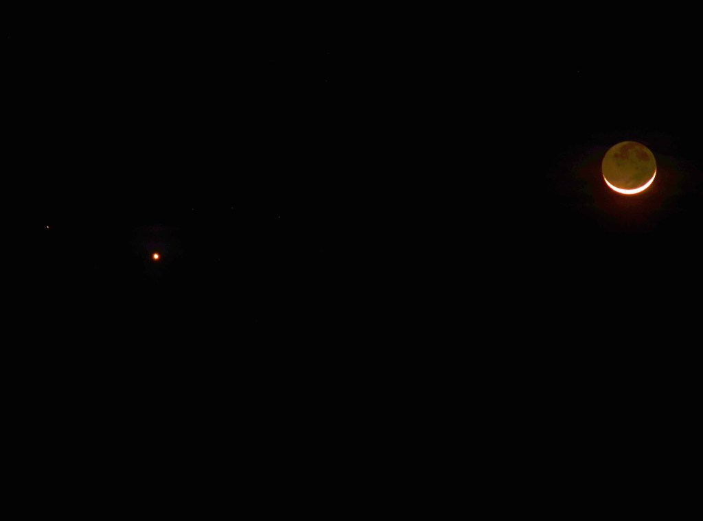 DSC_0383 - Copy - Copy