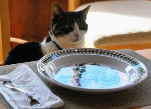 DSC_0106 - Copy - Copy