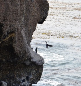 Ledge Landing - Copy