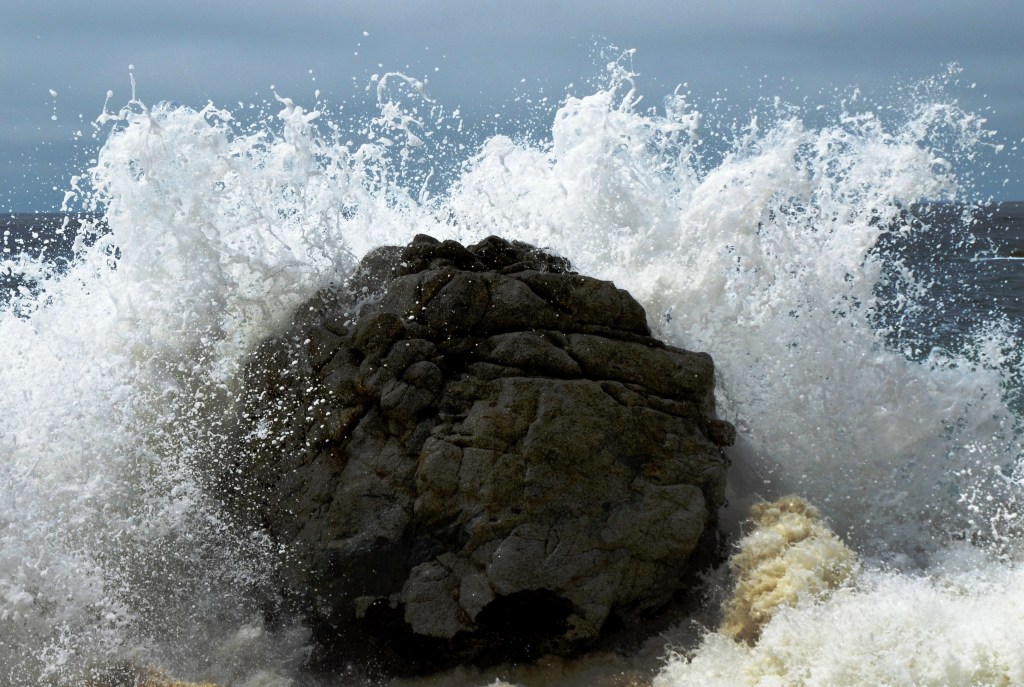 ????????????????????????????????????