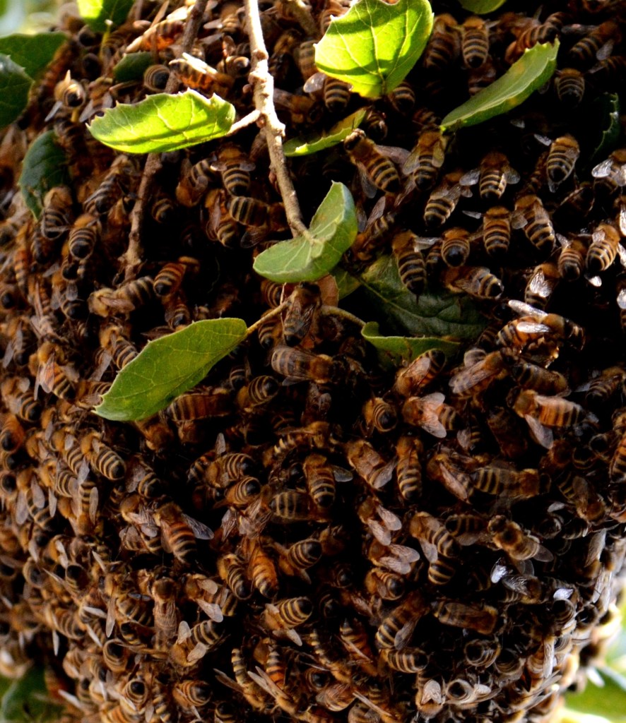 ????????????????????????????????????