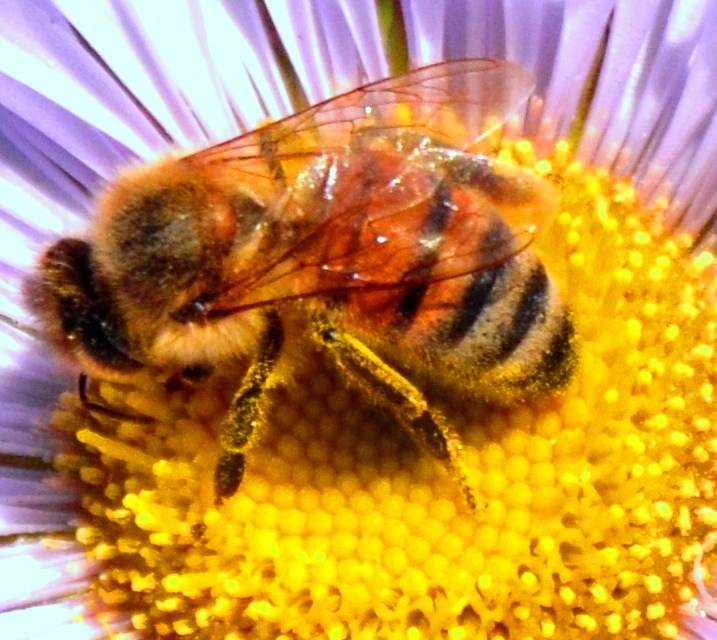 DSC_0337 - Copy - Copy