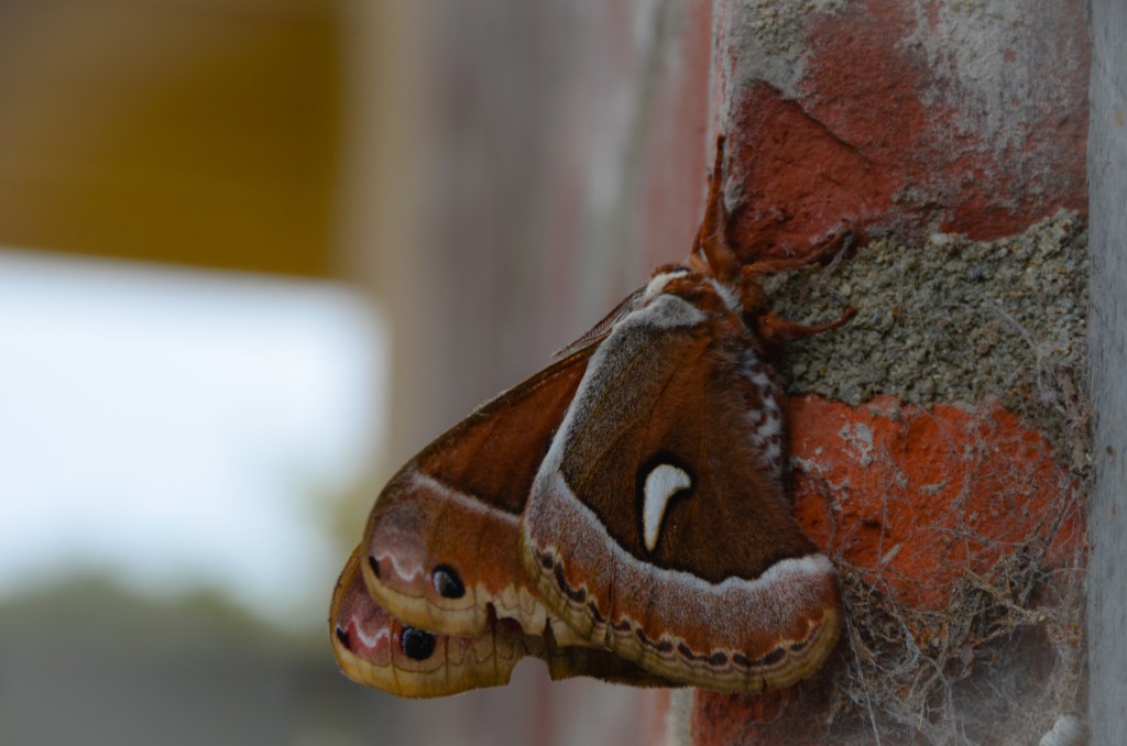 DSC_1011_edited
