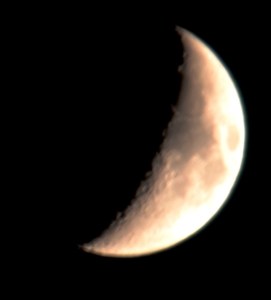 DSC_1230 - Copy - Copy (2)