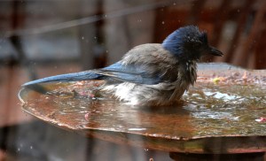 Thinking about it...