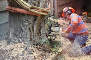 ????????????????????????????????????