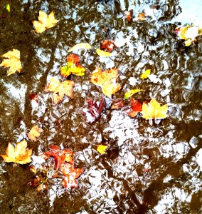 puddle.2 - Copy