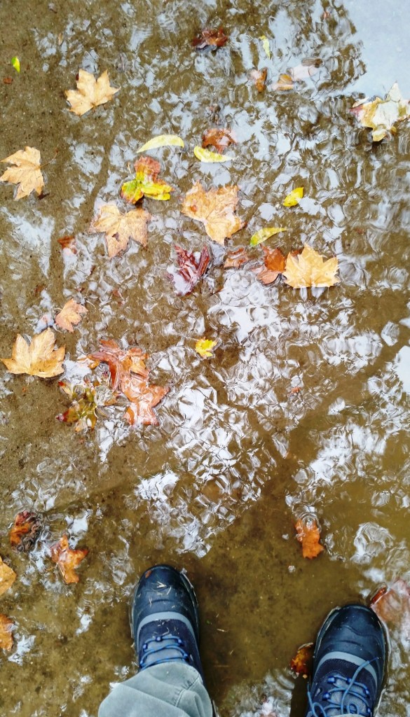 puddle.2