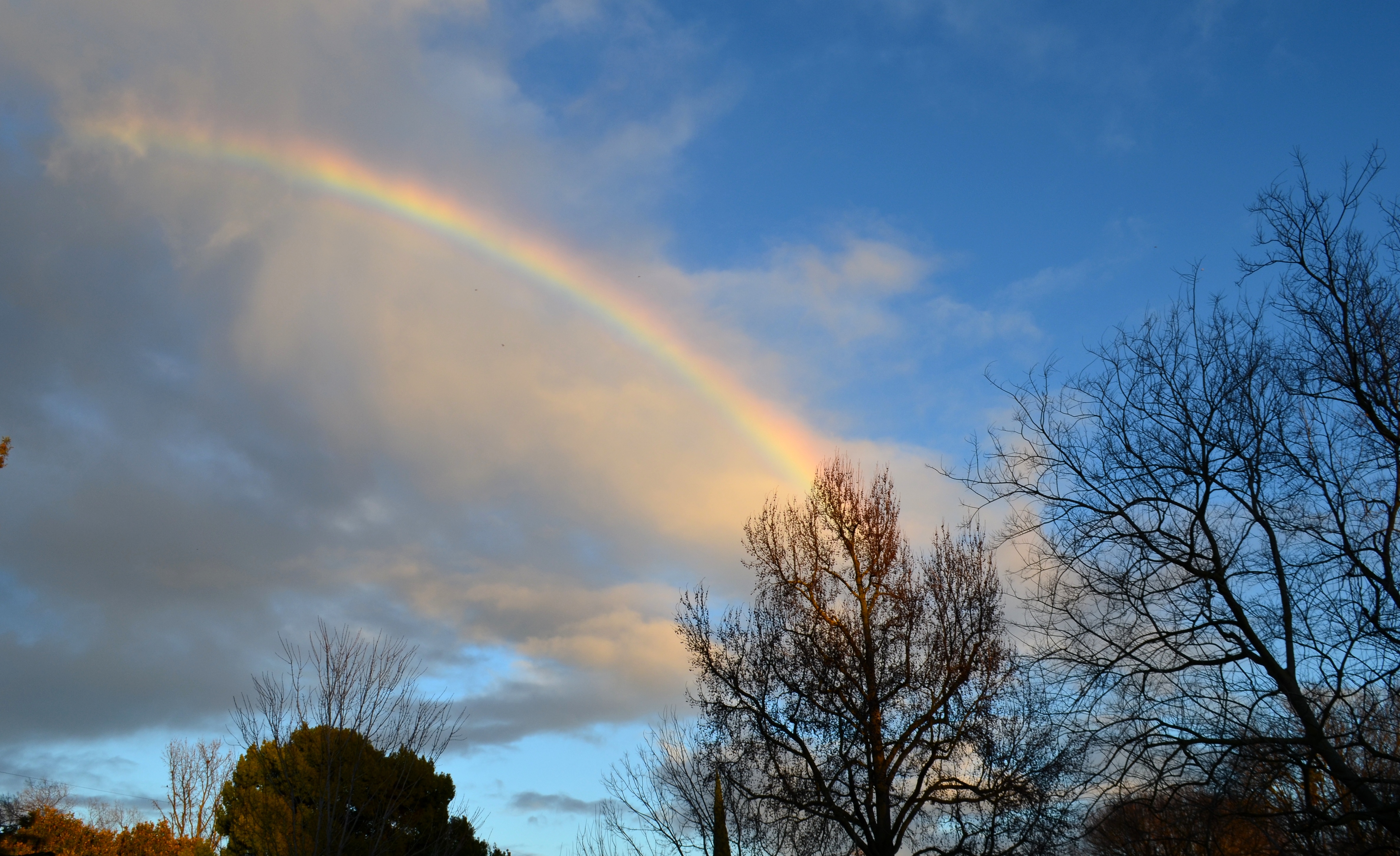 january rainbow.2