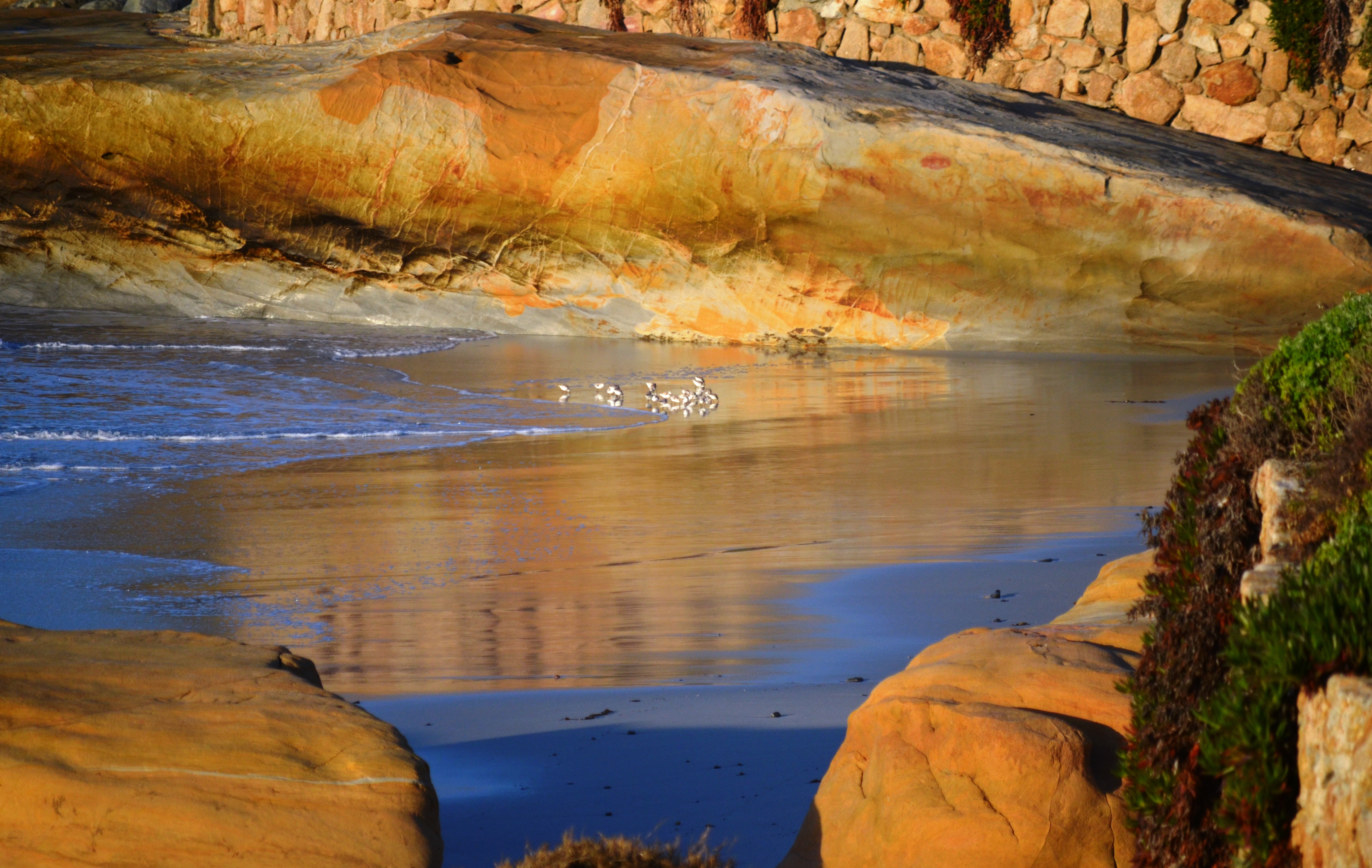 Carmel Beach