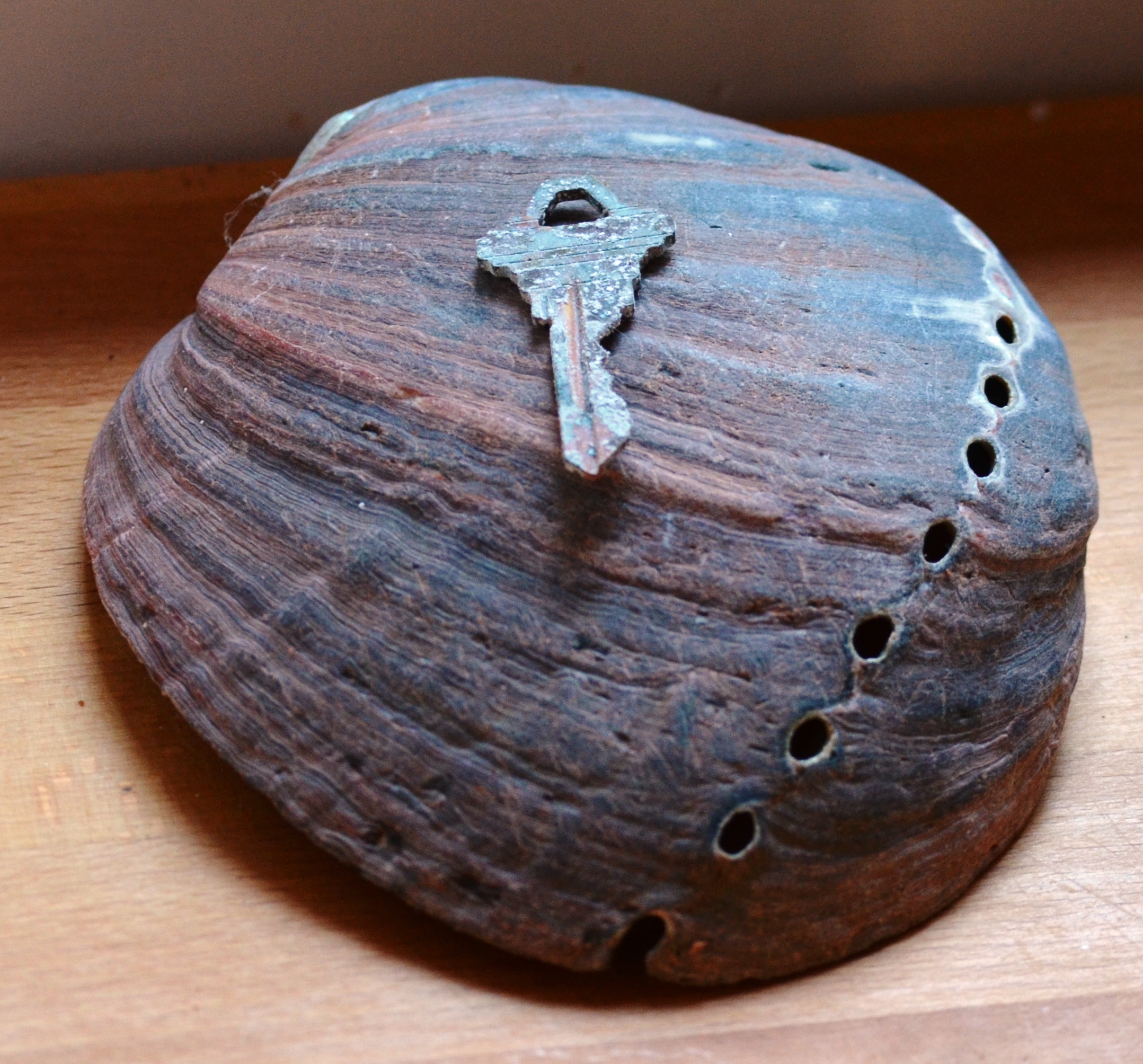 key on abalone