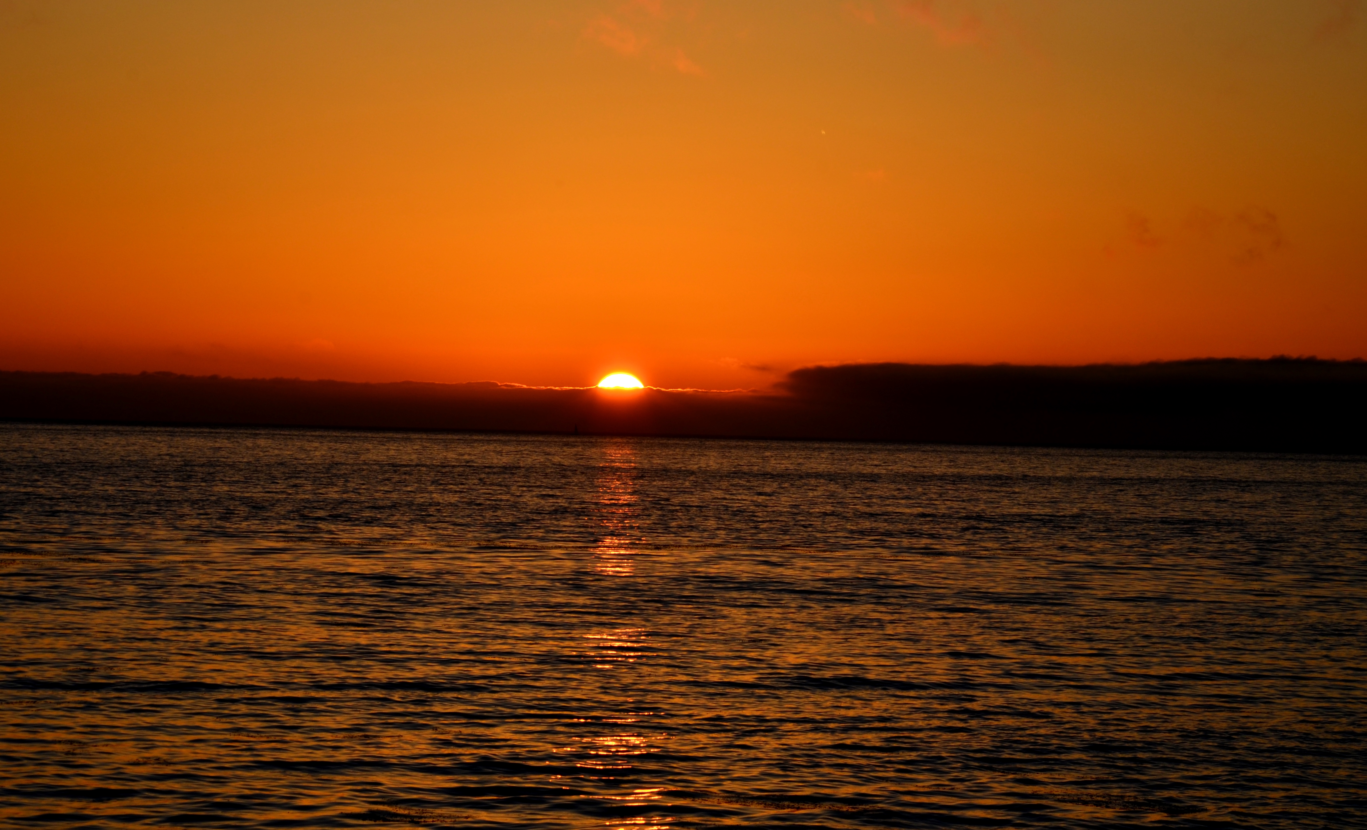 sunset on a fog bank.3