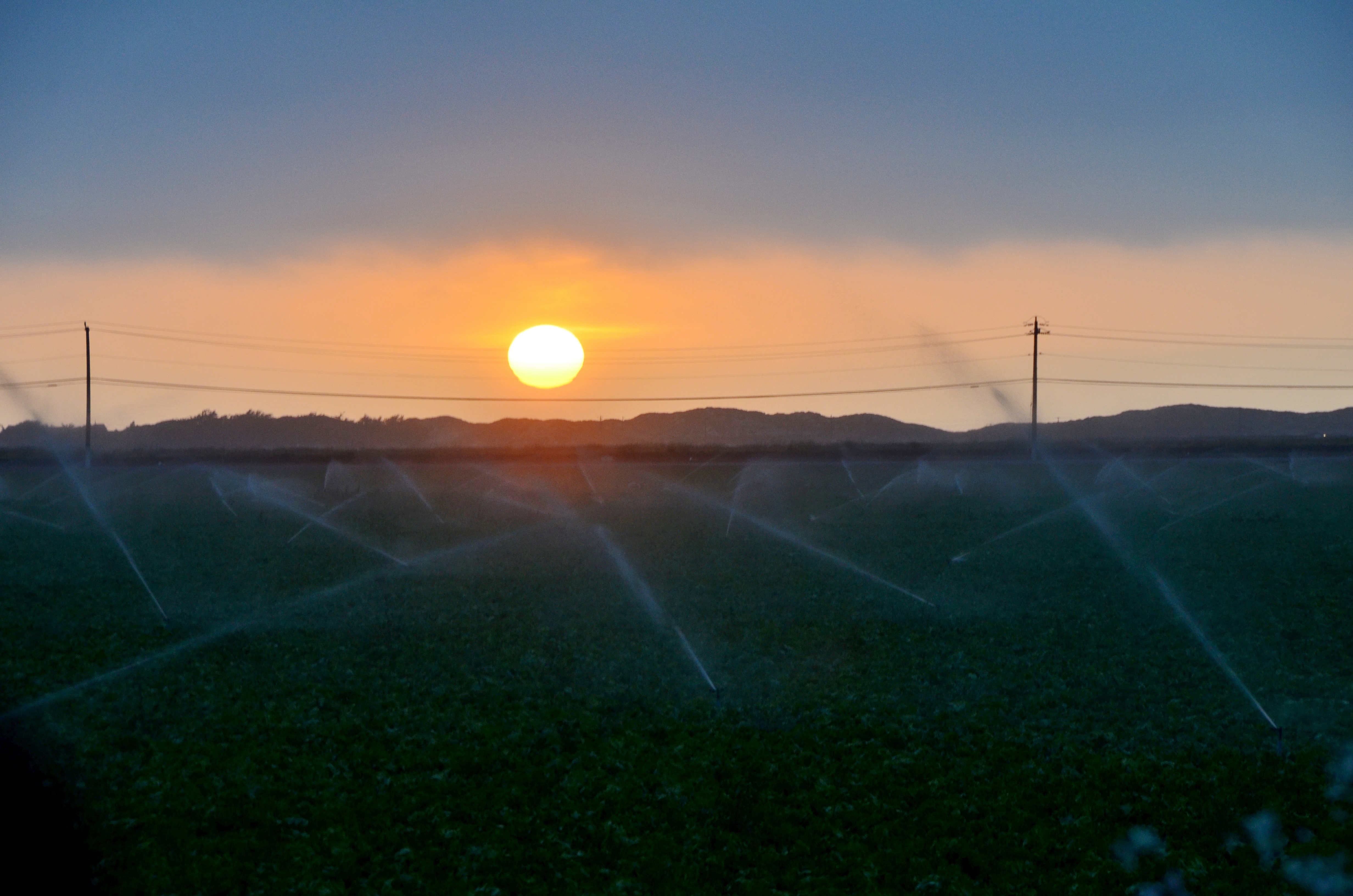 DSC_0241 - Copy - Copy