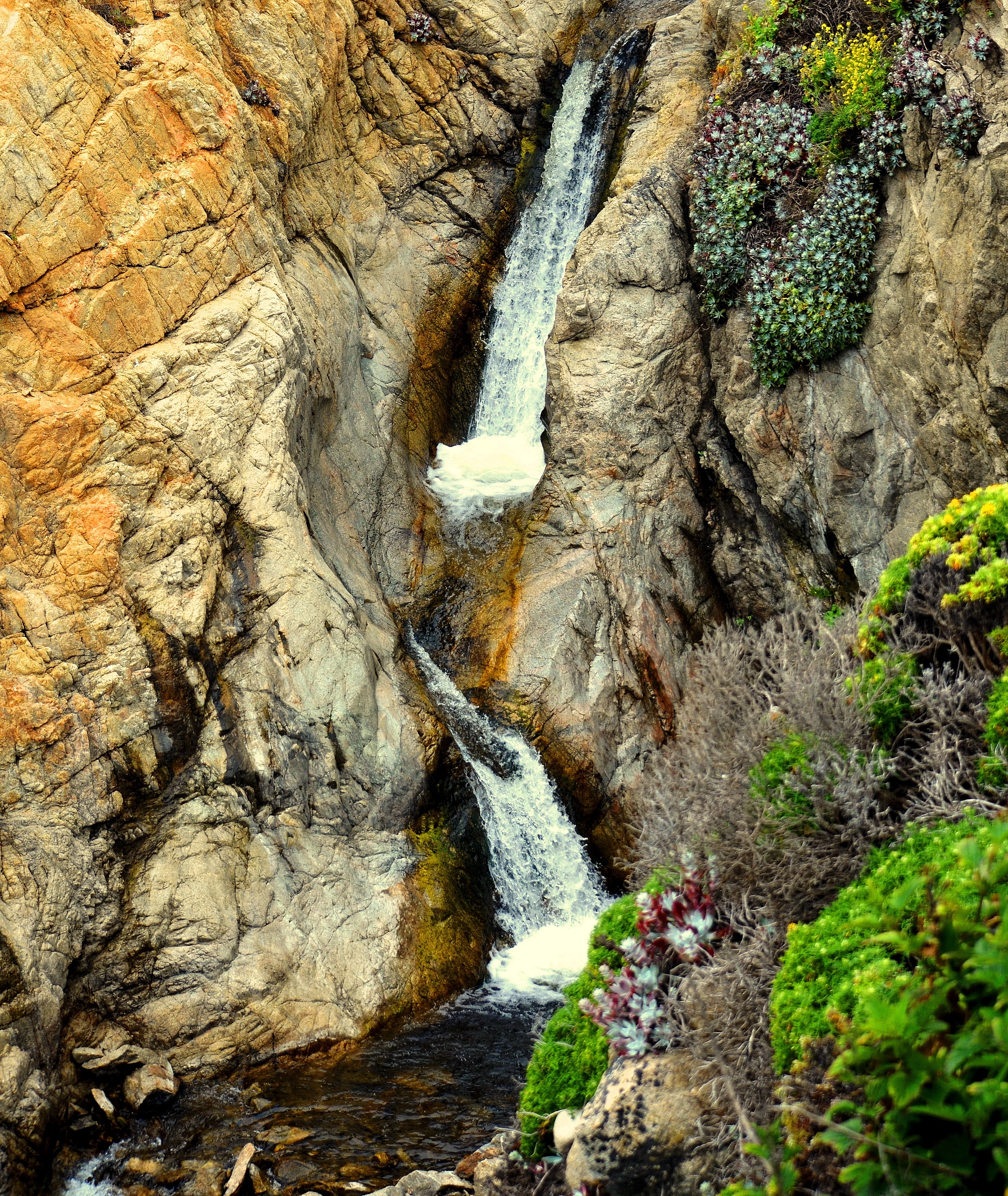 garapatta water - Copy