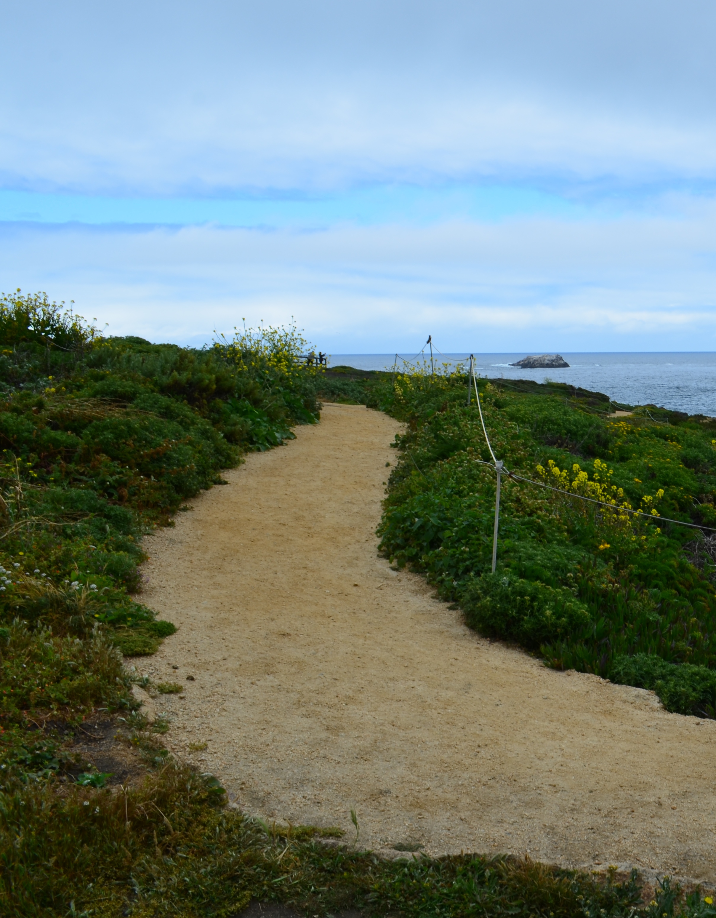 garapatta couple2 - Copy