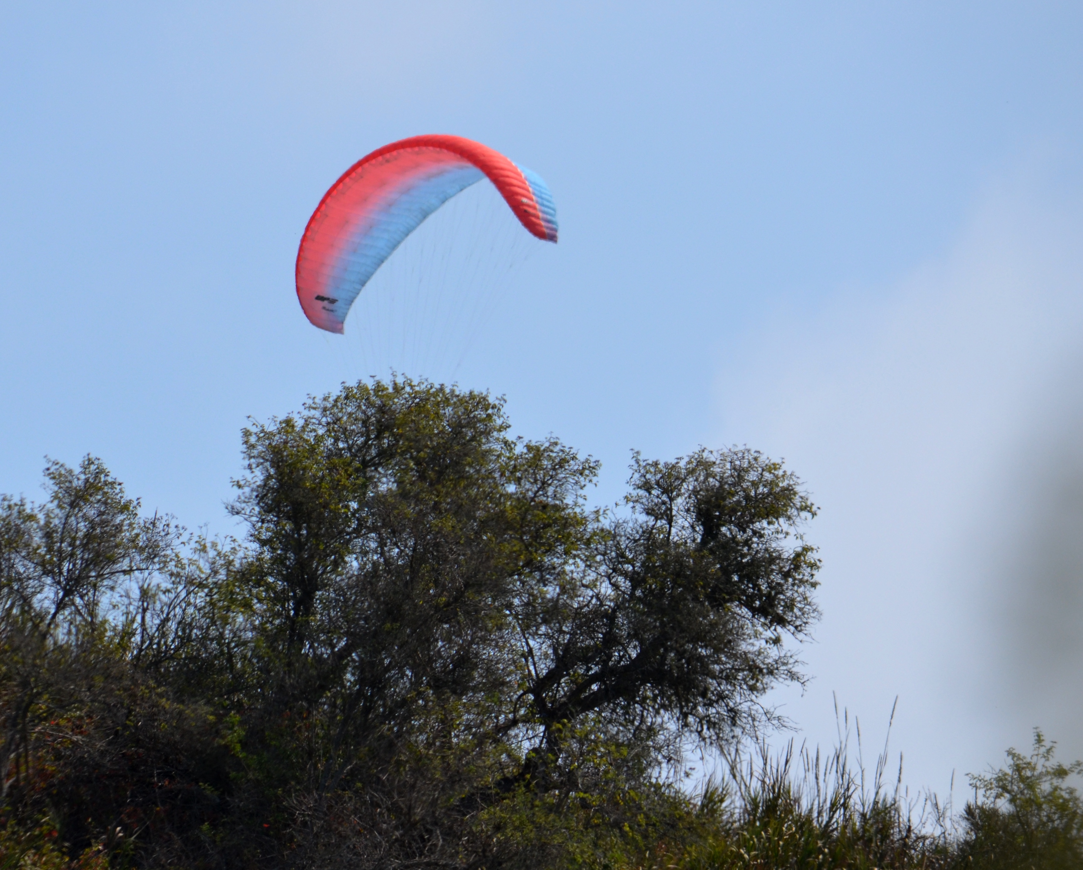 paragliding1