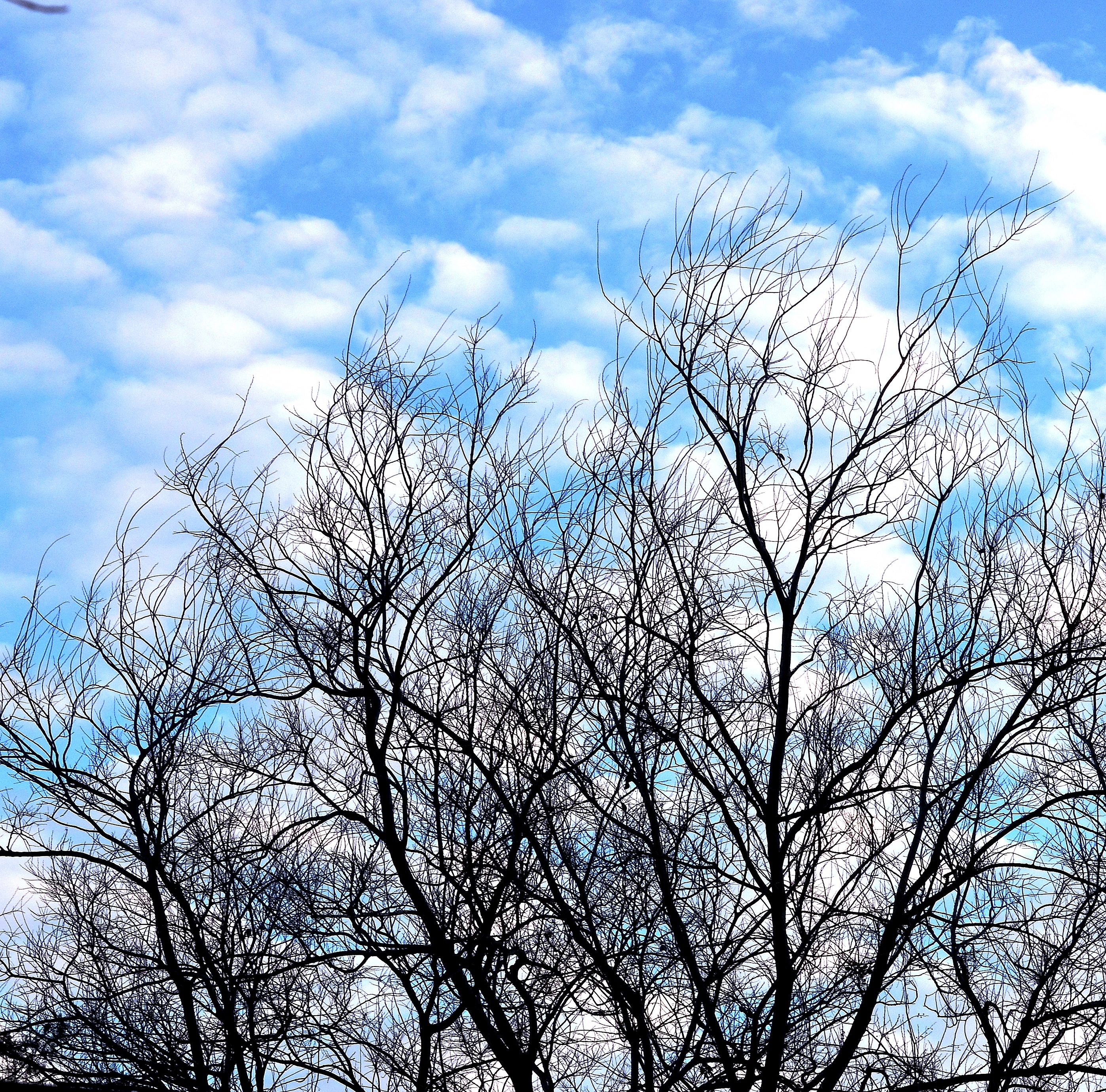 DSC_0001 - Copy.JPG