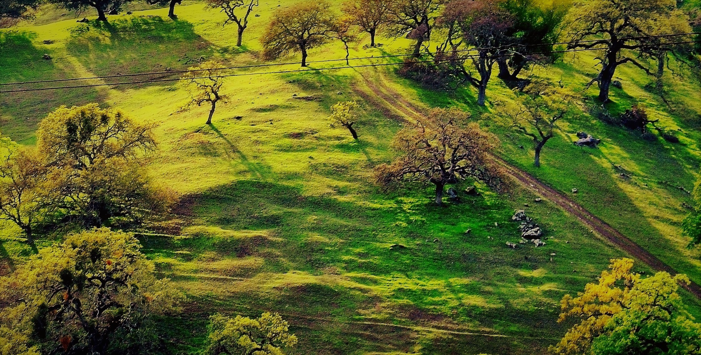 DSC_0239 - Copy - Copy - Copy - Copy (2).JPG