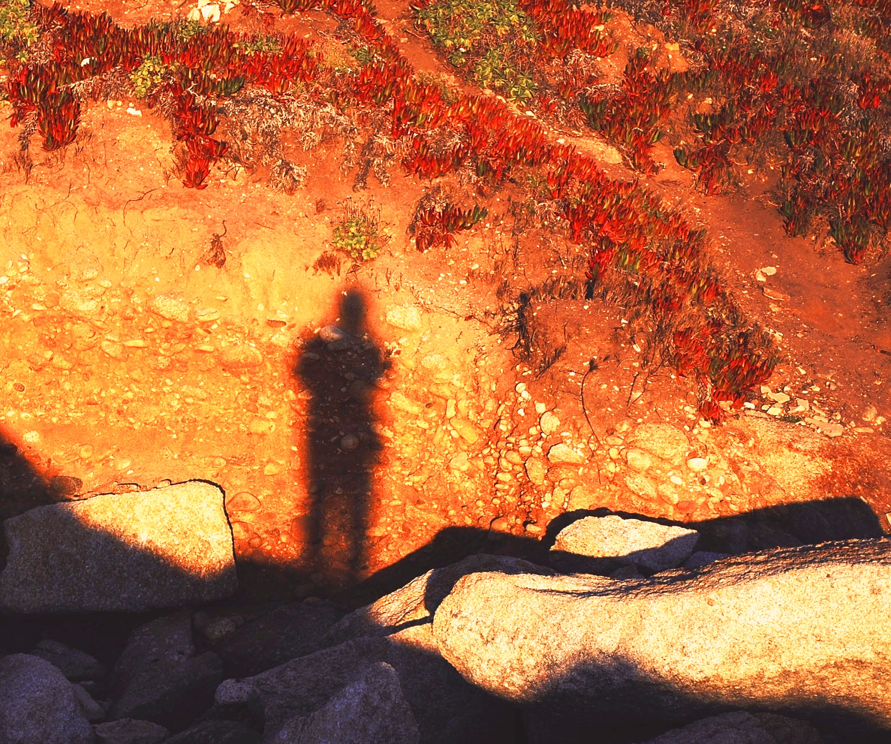 self-portrait - Copy (2).jpg