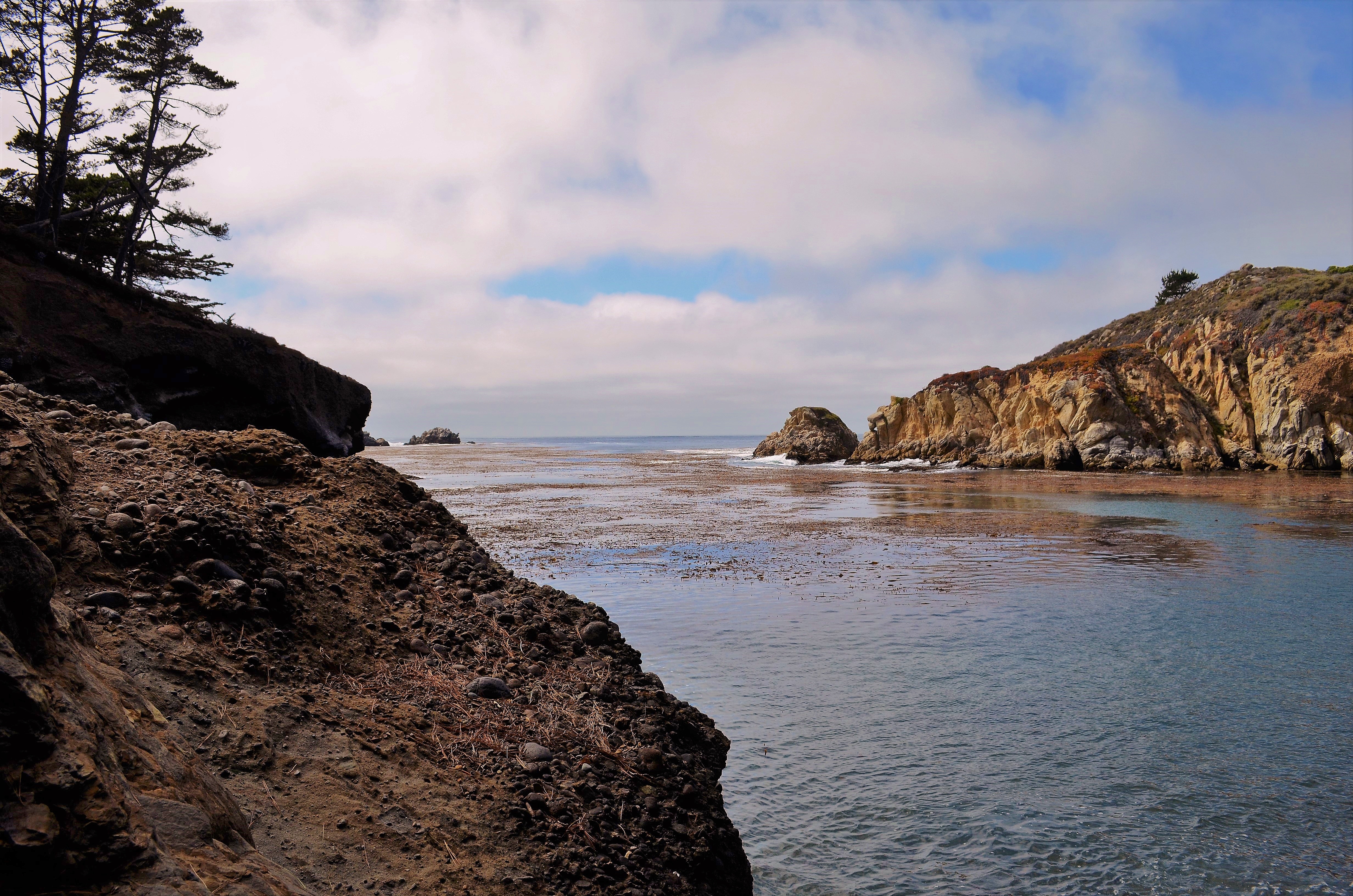 Point Lobos3.JPG