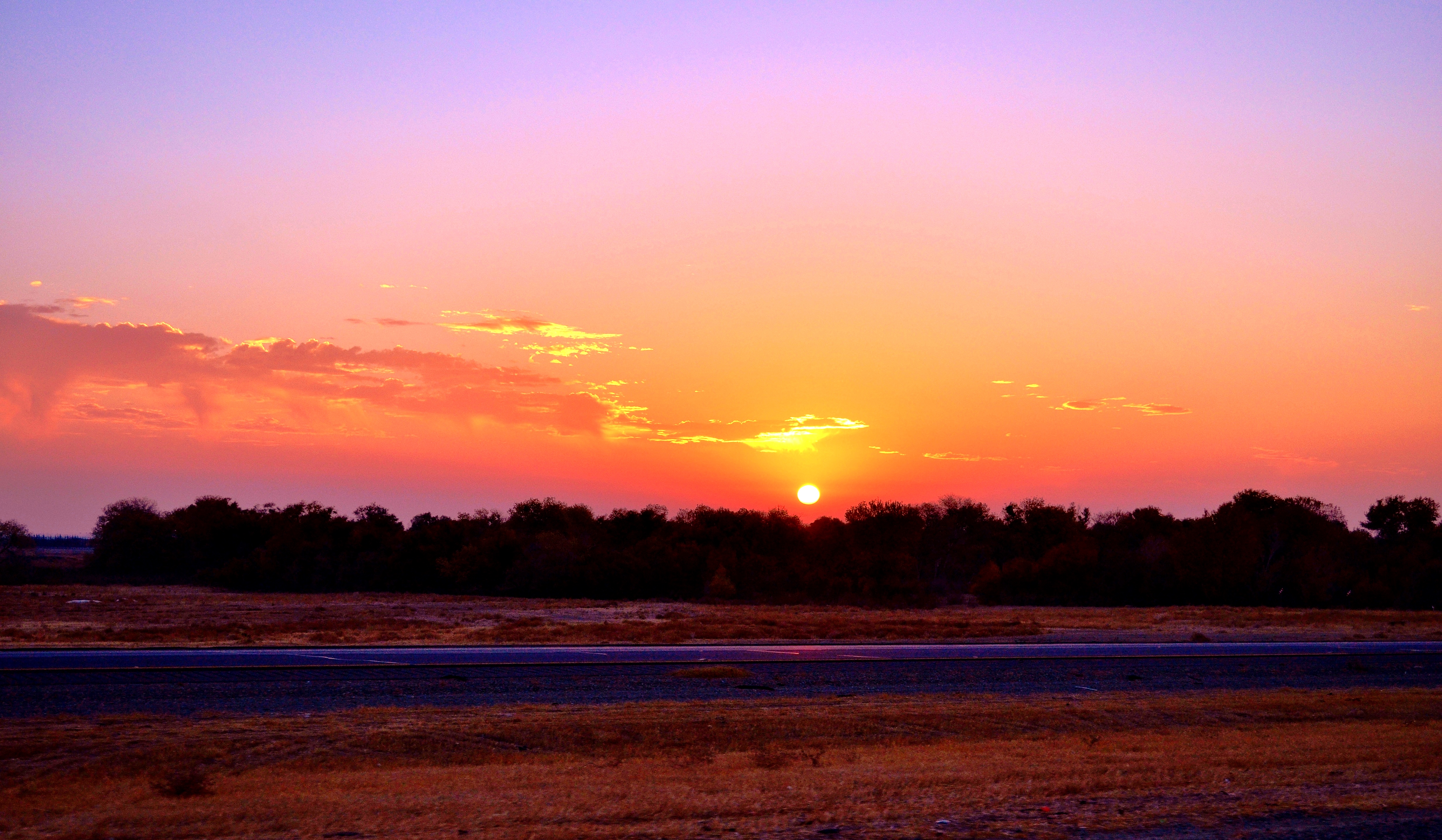 DSC_0229 - Copy.JPG