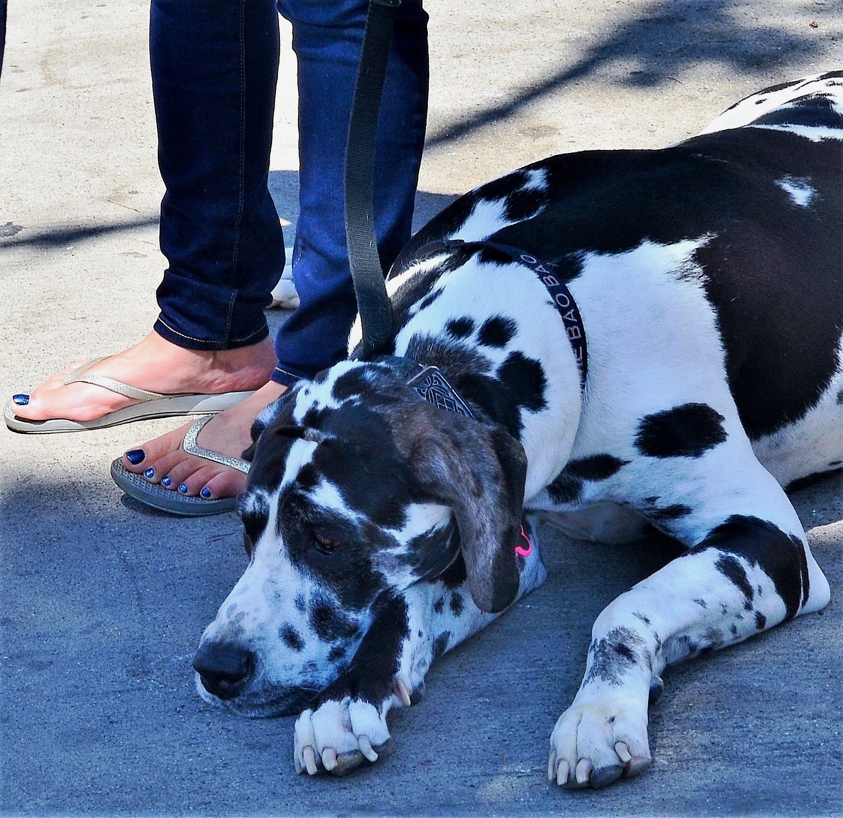 DSC_0022 - Copy (2).JPG