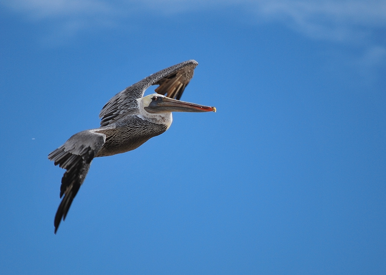 DSC_0112 - Copy (2) - Copy