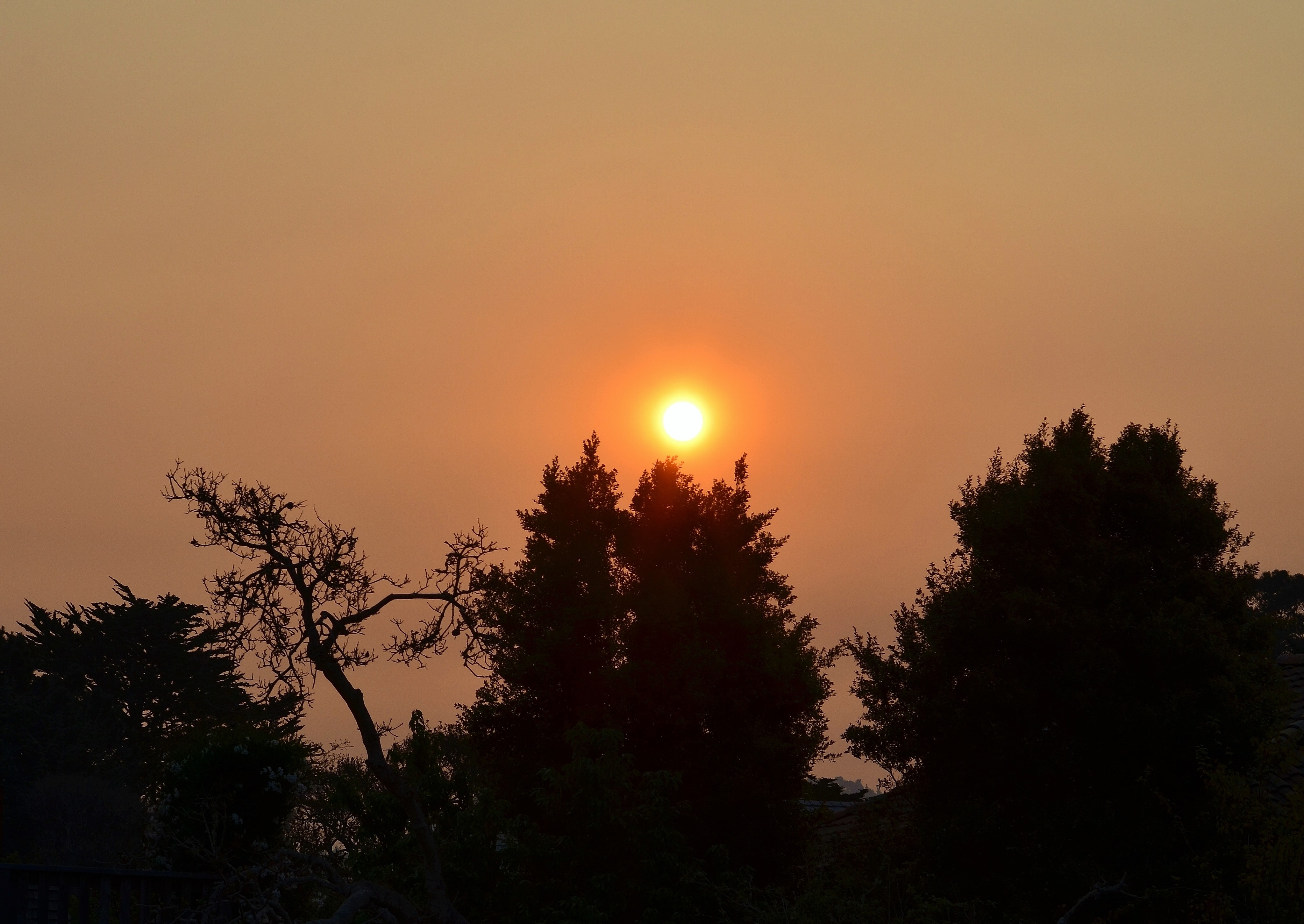 DSC_0002 - Copy (2).JPG
